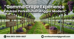 Gamma Grape Experience Malang sebagai destinasi study tour Malang untuk edukasi perkebunan anggur modern