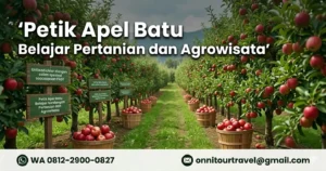 Petik apel Batu Malang sebagai destinasi study tour Malang untuk belajar pertanian dan agrowisata